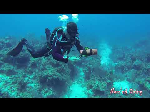 SMB Deployment On Drift Dive