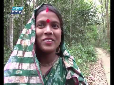 বর্ষিজোড়া ইকোপার্কটি যেনো জীববৈচিত্র্যের সমাহার