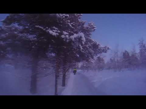 Evening ride in -20C - Ofelas Icelandic Horses, Sweden