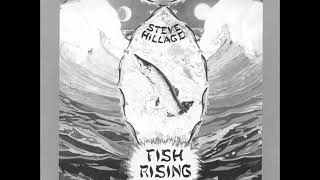 Solar Musick Suite - Steve Hillage