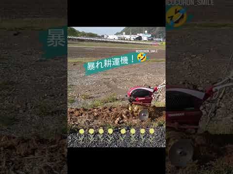 庭を耕したほうがいいでしょうか？耕さずに土地を耕すことはできますか?全てをお伝えします！  庭園