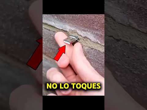 No debió conectar su COMPUTADORA en esta memoria USB... 😨