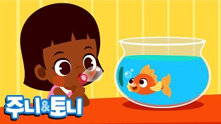 내 동물 친구 | 귀여운 애완동물송 | 동물동요 | 주니토니 by 키즈캐슬