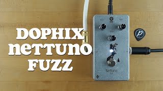Video thumbnail for Dophix Nettuno Fuzz by Pedal of the Day