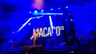 Macaco - Semillas - Festival Selvamonos