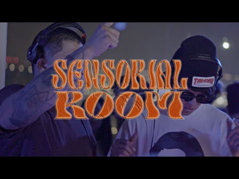 Dark Disco (Session) - Wild Bvffalo b2b Grinderel | Vol.1 Cabizbajo, Alvee, BadWolf, Hyper Trvshit