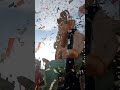 Bhubaneswar Ganesh Puja Bhubaneswar Odisha Odia