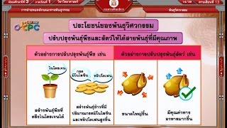 สื่อการเรียนการสอน พันธุวิศวกรรม ม.3 วิทยาศาสตร์