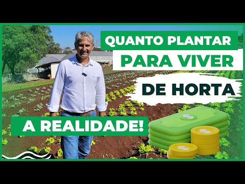 QUANTAS UNIDADES PRECISO PRODUZIR PARA VIVER DE HORTALIÇAS!