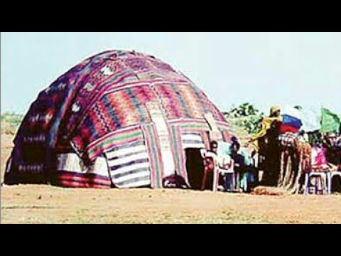 الفنان عبدالقادر  سالم / بسامه