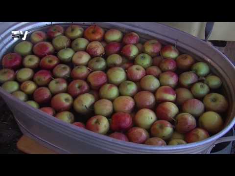 10th Squeeze Festival at Kranwerk Naunhof