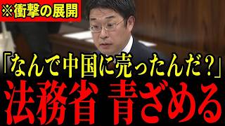 国会激震！安達議員が暴露した外国資本による土地買収の闇【参政党】