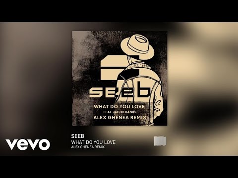 Video thumbnail for What Do You Love (Alex Ghenea Remix)
