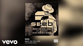 Seeb - What Do You Love (Alex Ghanea Remix) ft. Jacob Banks