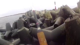 Ссылка