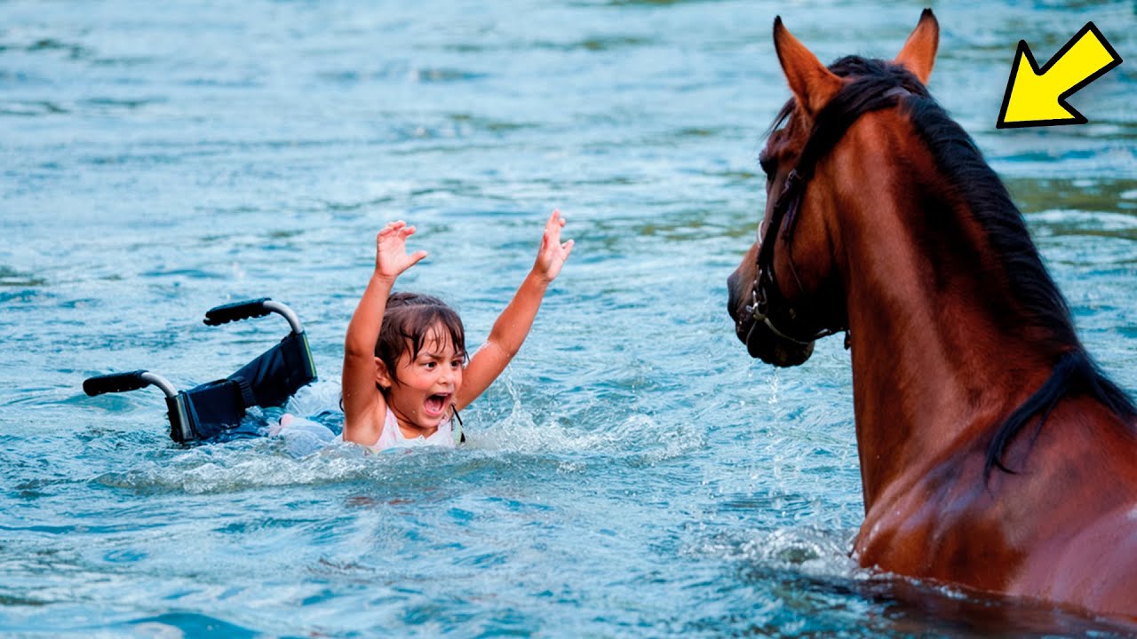 HOMEM RICO EMPURRA FILHA CADEIRANTE na CORRENTEZA, mas o que o CAVALO faz depois...