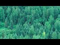 Introduction To Botany