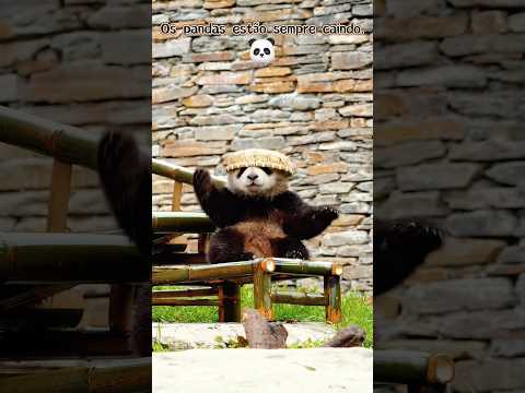 E tome Panda ... Brincadeiras inesperadas que alegram todo mundo.