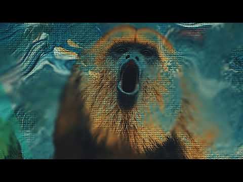 Third chimpanzee EP (Blue)
