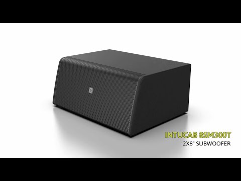 INTUSONIC 8SM300T 2x8 Zoll Subwoofer wei?