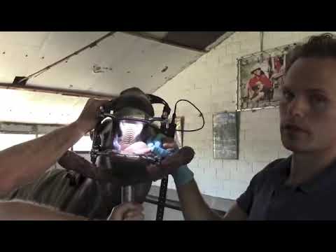 WB TV Extra - tandarts deel 1