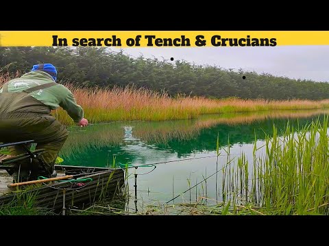 float fishing : In search of Crucians & Tench