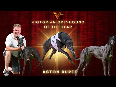 2022 Victorian Greyhound of the Year | Aston Rupee