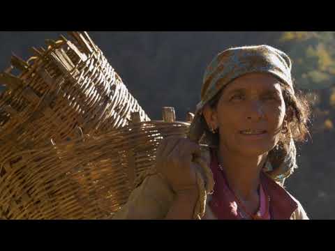 To wake Buddhi Festival Trailer