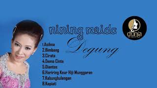 Download lagu NINING MEIDA - ASIH ( DEGUNG ) mp3
