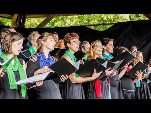 Extraits Vox Anima (2015)