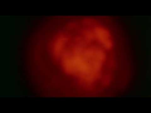 Q The Winged Serpent (1982) Trailer