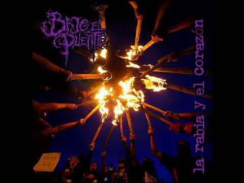 Bajo el Puente - Pewma