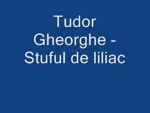 Tudor Gheorghe   Stuful de liliac