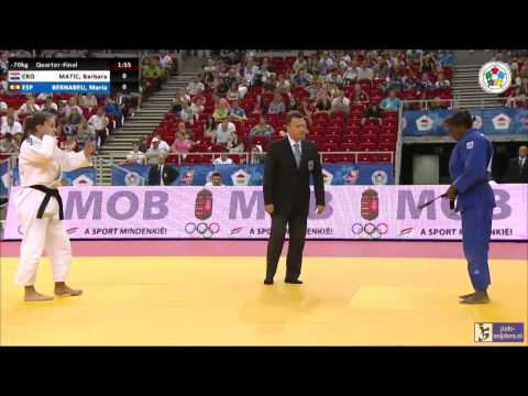 Judo 2014 Grand Prix Budapest: Matic (CRO) - Bernabeu (ESP) [-70kg] QF
