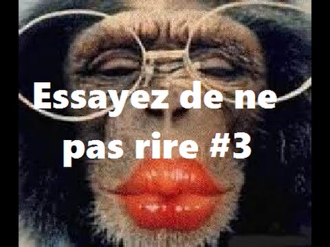 Essayez de ne pas rire ! #3