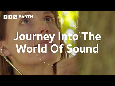 The Remarkable Science of Sound | Sound Waves: The Symphony of Physics | BBC Earth Science