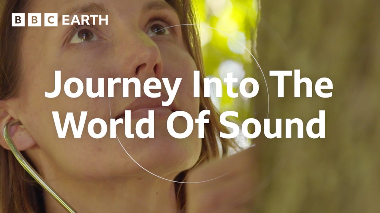 The Remarkable Science of Sound | Sound Waves: The Symphony of Physics | BBC Earth Science