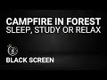 🔥 ASMR Campfire Ambience, Night Forest Sounds | 8h Black Screen for Sleep, Study or Relax