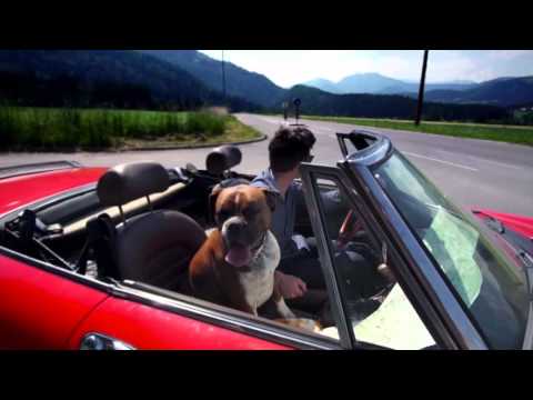 ANSAMBEL GOLTE-Najbolj nora noč (Remix z bobni)