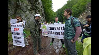 Păduri virgine salvate definitiv în urma proceselor și protestelor Agent Green