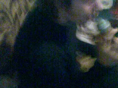 Vuchine-smijeh do bola