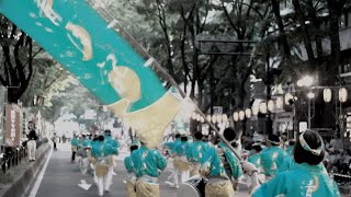 ワケアリ大家族 大晦日に3女が離婚【ドキュメント】-أفضل موقع لتشغيل 