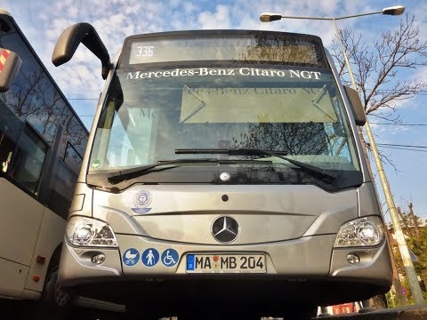 Cab View Line 336 Mercedes Citaro  NGT(Bucharest)