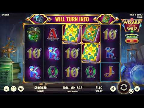 Wizard of the Wild – Video Gameplay