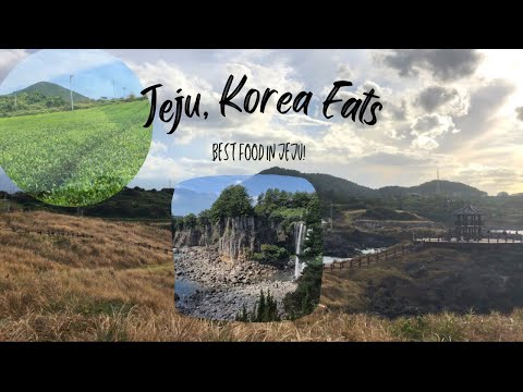 [Setembro de 2022] Jeju, Coreia, Must Eat! | Carne de porco preta, mingau de abalone, Gozip Dol Wooluck.