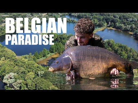 THE BEST LAKE IN BELGIUM? Escaping London 4