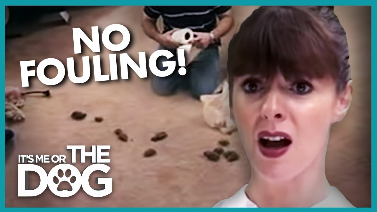 YouTube video preview