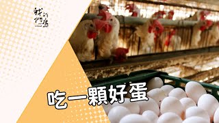 Re: [爆卦] 為什麼缺蛋？雞蛋生產成本公開