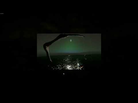 Dr. Emmerson's Nocturnes Demoversion