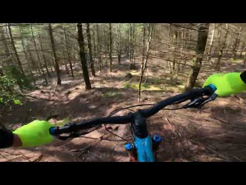 Mtb Tour de Puddletown Forest
